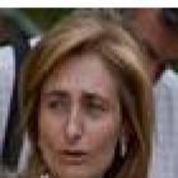 Gloria Miguel Polo