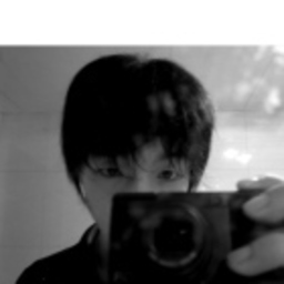 Dongyu Liu