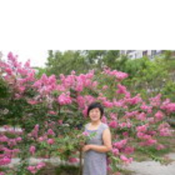 威 张
