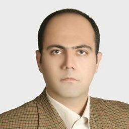 Meghdad Shamsaei