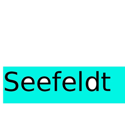 Klaus Seefeldt