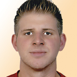 Domenik Sauer
