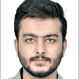 Muhammad Bilal Hussain