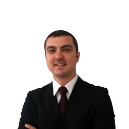Nicolae Hulea