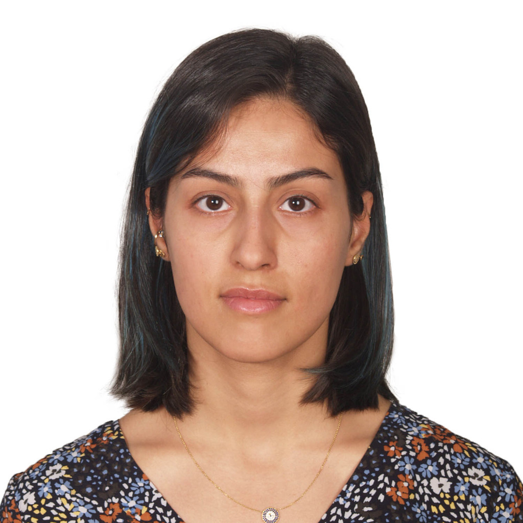 Mahshid Akbari Boshr Abadi Übersetzerin Persia Group Translation XING