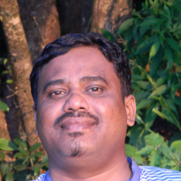 Vinod Patil (PMP)