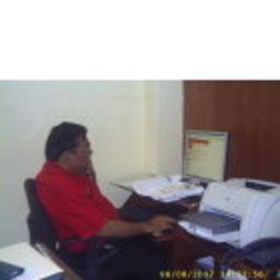 DANTE CESAR TORERO BRAMON