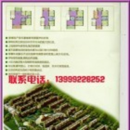 琼英 徐