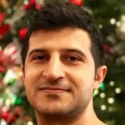 Mohammad Hossein Amri