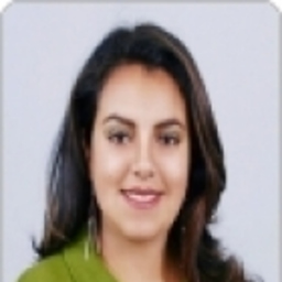 Mary Illanes Zapata