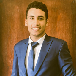 Ahmed Mohamed Youssef Abu-Elfetooh
