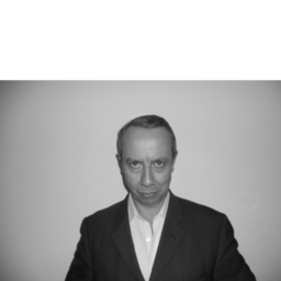 Dominique Guilloteau