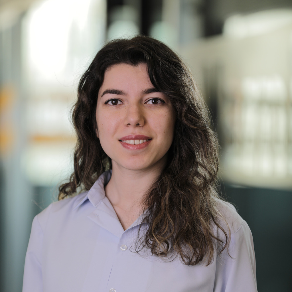 Rojan Khanipour National And Transnational Studies Universit t rojan-khanipour-national-and-transnational-studies-universit-t