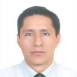 David Gerson Miranda Palomino