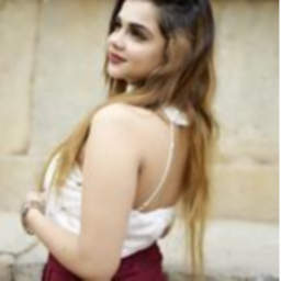 Aradhya Mittal