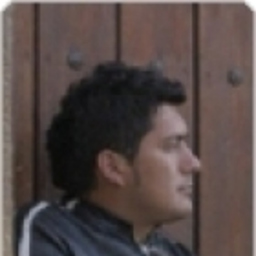 ALEJANDRO ARAQUE MENDOZA