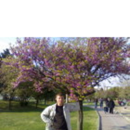 Bülent Konak