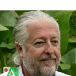 JEAN-FRANCOIS COMET