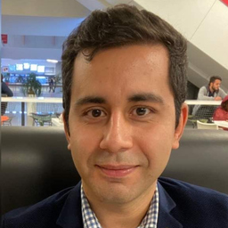Saeed Hamidnejad