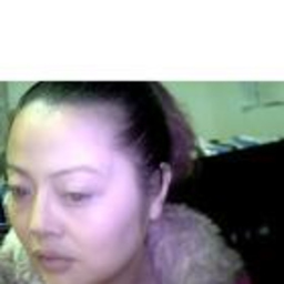 Lanfang Zhang