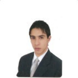 Prof. Christian Dario Bravo Bastidas