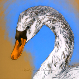 Rāvel Śāśwata Pētershāgen