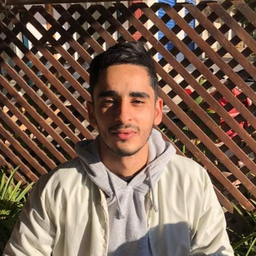 mohamed ali saii