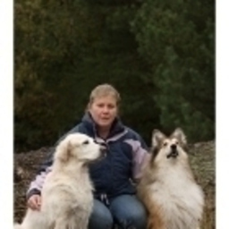Silke Hink