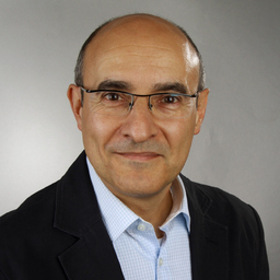 Luis Filipe Viegas