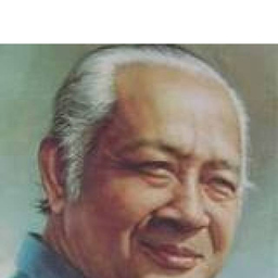 Wong Ngaur