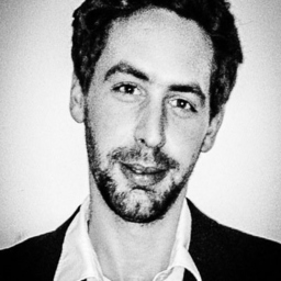 Niko Michael Henes