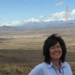 Margit Bollenberger's profile picture