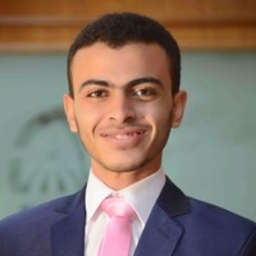 Abdelrhman Ibrahim