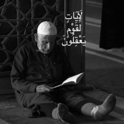 moustapha khattry