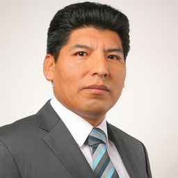 Dipl.-Ing. Manuel Edgar Checya Sinti