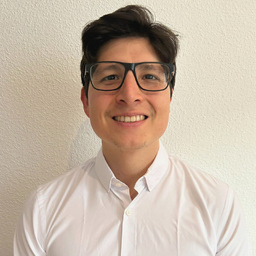 Paul Cerna Vargas