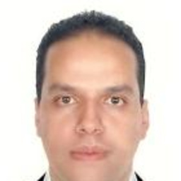 Prof. Julian Andres Ramirez Ramirez