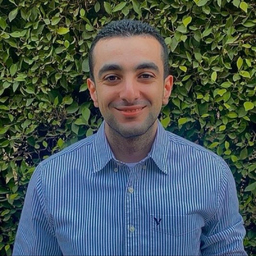 Ayman Altaweel