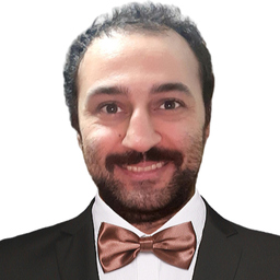 Ing. Amir Jabari