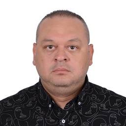 Prof. Hossam Shamseldin
