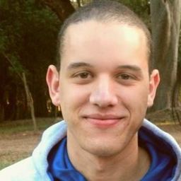 Pedro Henrique Cocola Fernandes