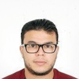 Ing. Sofiane Chouaieb