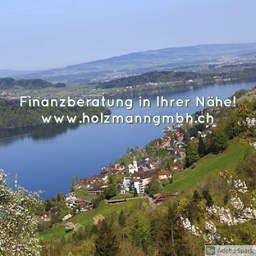 Holzmann Reto