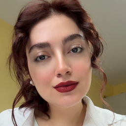 Elham Zafari Langroodi