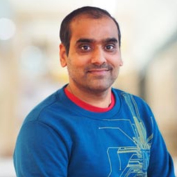 Ing. Satya Mouli Putta