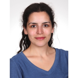 Merve Kilic
