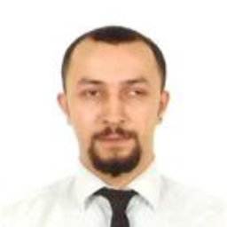 Erdal Orsavas