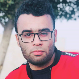 Rabii ROGGUI