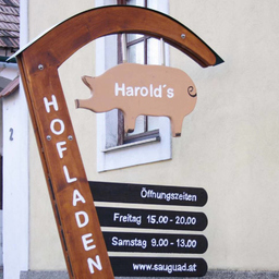Manuel Harold