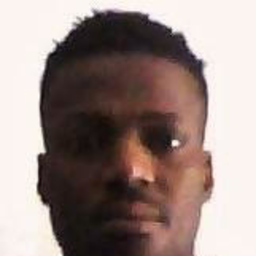 Brice Terrilien Jr